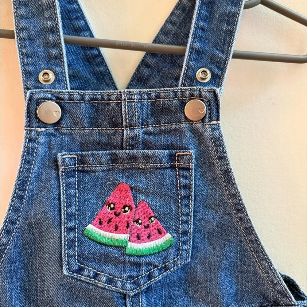 Children’s Place Denim Watermelon Shortalls